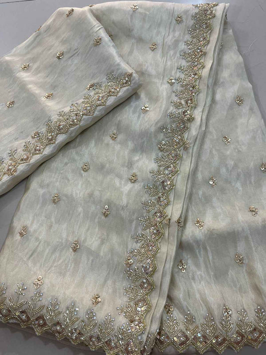 Handwork Tissue Saree