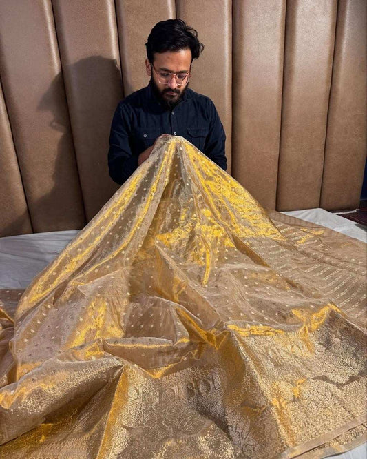 Banarasi Metallic Tissue Saree