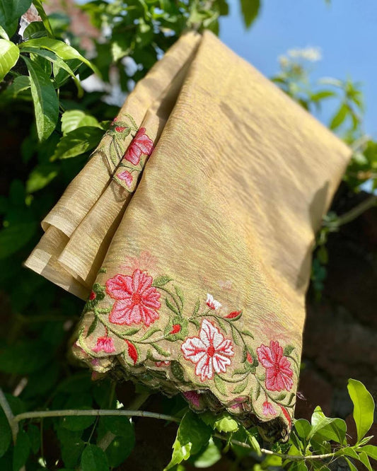 Banarasi Tissue Sarees