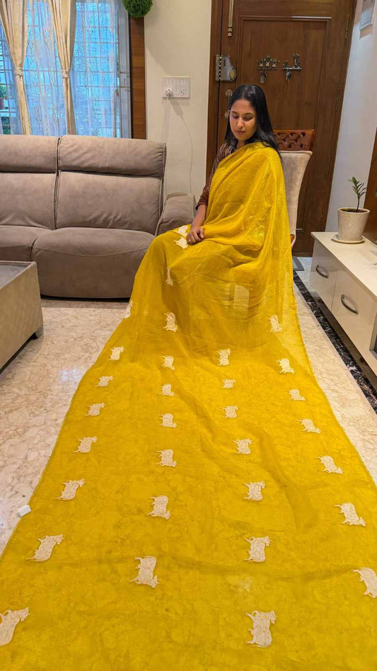 AC's Crush Tissue Saree
