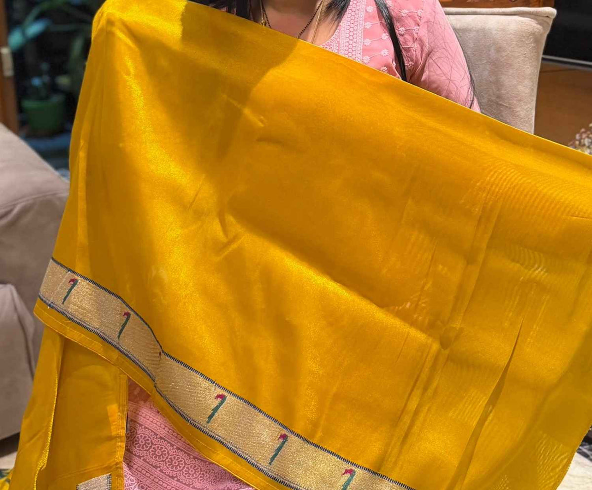 AC's Tissue Paithani Shimmer Saree