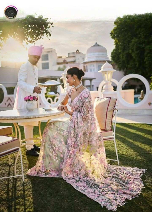 3D Embroidery Net Saree