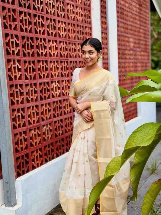 Banarasi Semi Katan Silk Saree