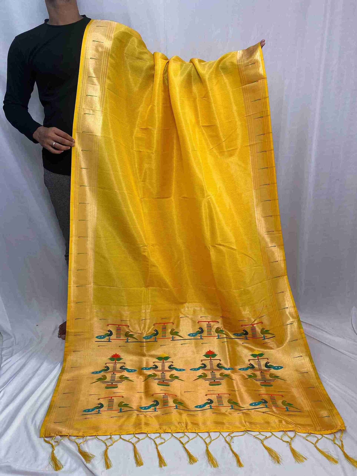 Tissue Paithani Semi Silk Sarees