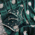 Burberry Silk Work Saree