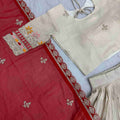 Embroidery Banarasi Tissue Silk Lehanga