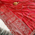 Bhandini Print Dola Silk Saree
