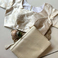 Soft Organza Striped Saree