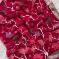 Space Silk Embroidery Sarees