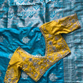 Banarasi Motifs Silk Sarees