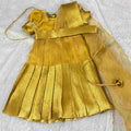 Tissue Banarasi Family Outfits