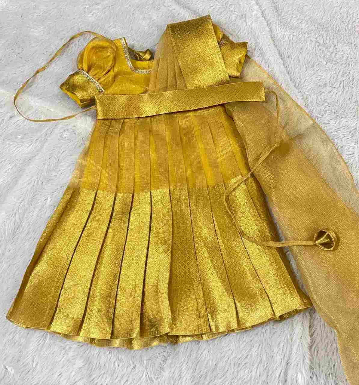 Tissue Banarasi Family Outfits