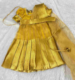 Tissue Banarasi Family Outfits
