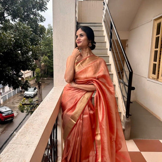 Dyable Organza Saree