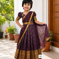 Semi Silk Family Outfits