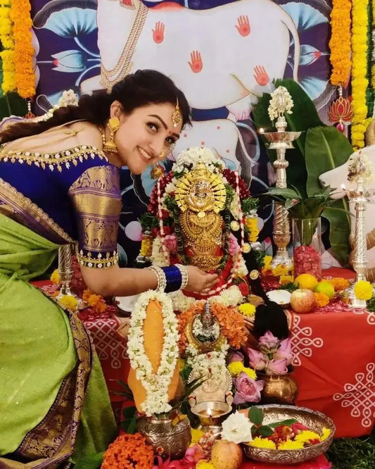 Sridevi Chickenkari Kanchi Saree