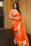 Banarasi Tissue Organza Sarees
