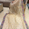 AC's Pur Tissue Saree