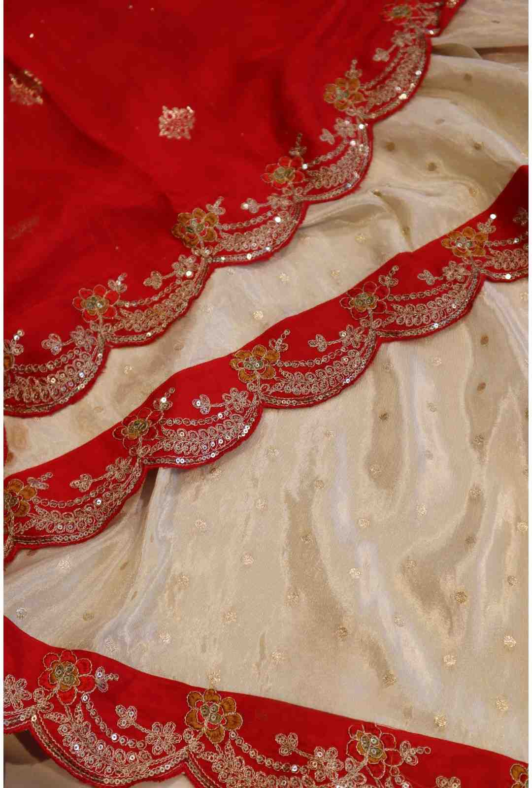 Tissue Silk Scalloped Saree