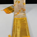 Hand Painted Banarasi Tissue Silk Sarees