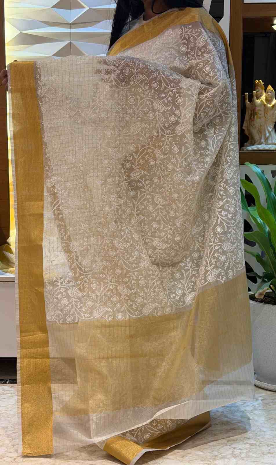 AC's Kora Banarasi Tissue Saree