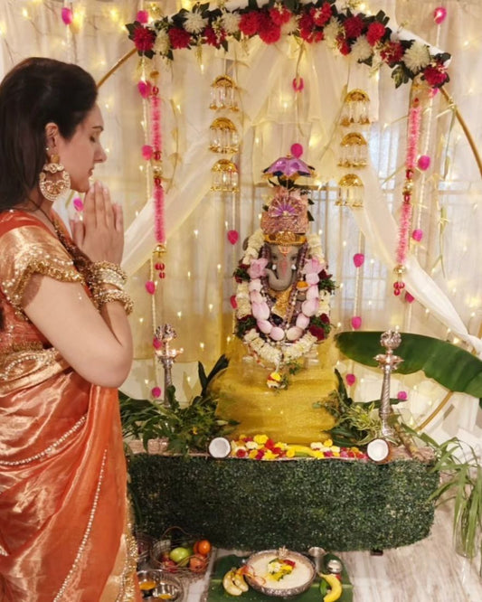Pure Tissue Banarasi Saree
