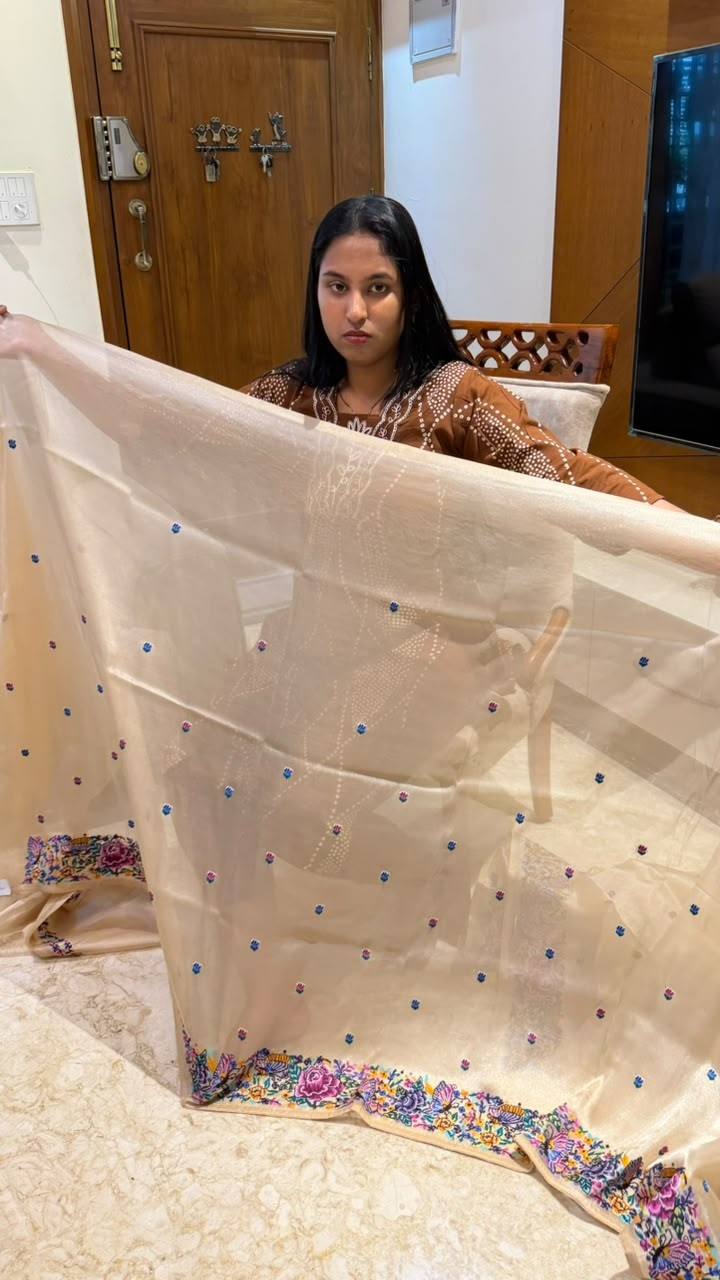 AC's Pur Tissue Saree