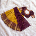 Semi Gadwal Silk Lehenga