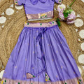 Kid's Paithani Silk Lehengas