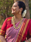 Soft Irkal Sarees