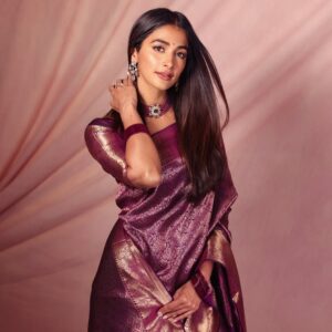 Pure Handowen Kanjeevaram Sarees
